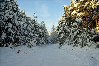 城市RPG《Troublemaker 2: Beyond Dream》Steam页面上线 2025年